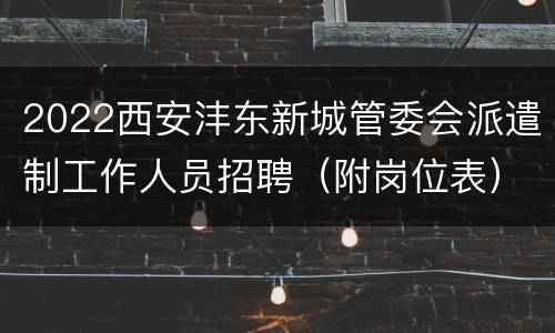 2022西安沣东新城管委会派遣制工作人员招聘（附岗位表）