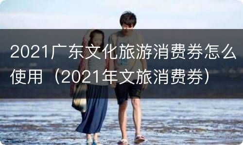 2021广东文化旅游消费券怎么使用（2021年文旅消费券）