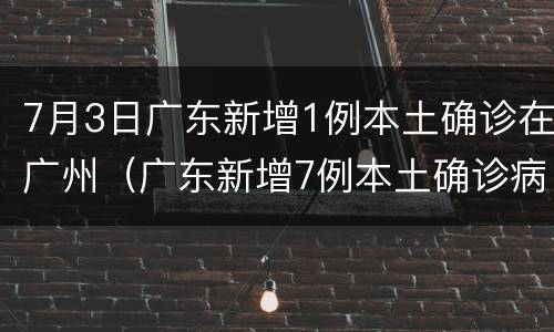 7月3日广东新增1例本土确诊在广州（广东新增7例本土确诊病例）