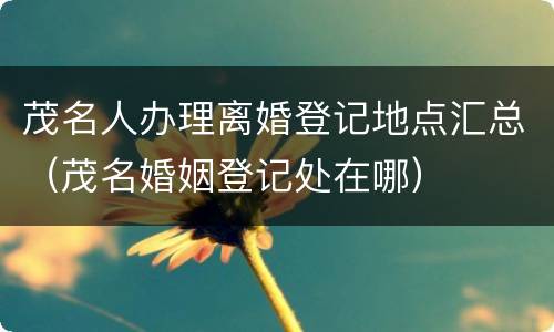 茂名人办理离婚登记地点汇总（茂名婚姻登记处在哪）
