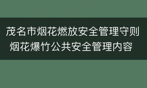 茂名市烟花燃放安全管理守则 烟花爆竹公共安全管理内容