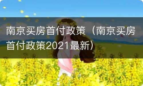 南京买房首付政策（南京买房首付政策2021最新）