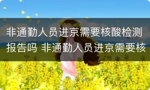 非通勤人员进京需要核酸检测报告吗 非通勤人员进京需要核酸检测报告吗