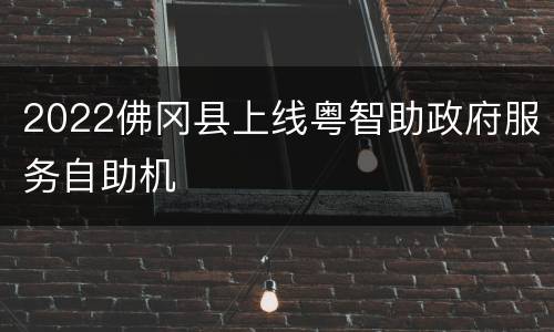 2022佛冈县上线粤智助政府服务自助机