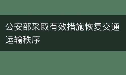 公安部采取有效措施恢复交通运输秩序