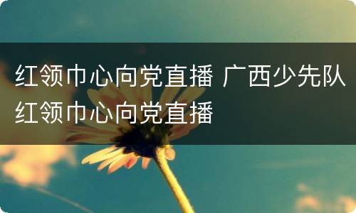红领巾心向党直播 广西少先队红领巾心向党直播