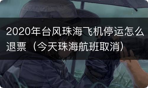 2020年台风珠海飞机停运怎么退票（今天珠海航班取消）