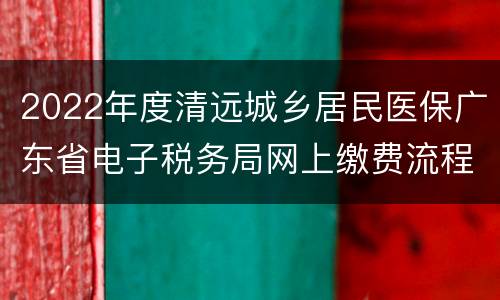 2022年度清远城乡居民医保广东省电子税务局网上缴费流程