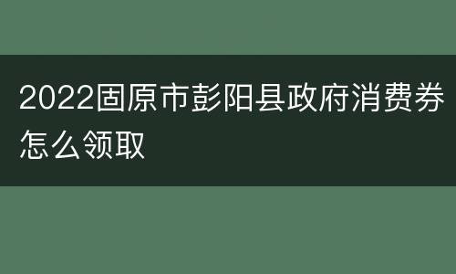2022固原市彭阳县政府消费券怎么领取