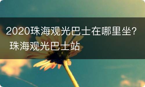 2020珠海观光巴士在哪里坐？ 珠海观光巴士站