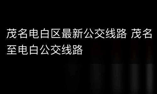 茂名电白区最新公交线路 茂名至电白公交线路