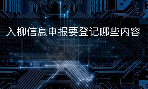 入柳信息申报要登记哪些内容