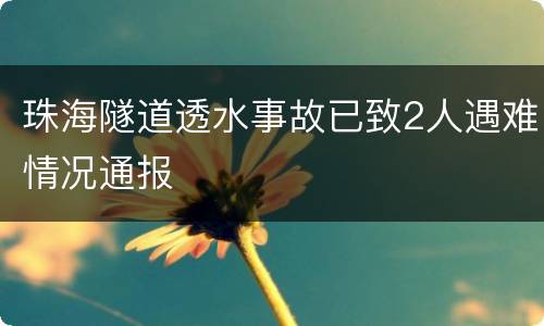 珠海隧道透水事故已致2人遇难情况通报