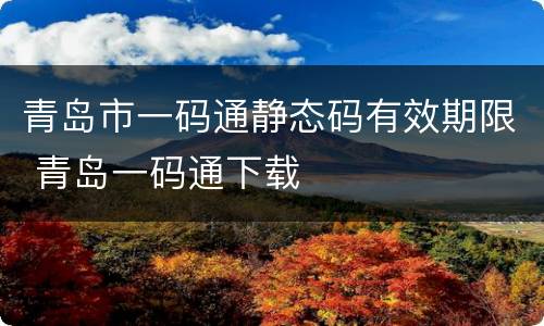 青岛市一码通静态码有效期限 青岛一码通下载