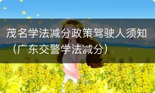 茂名学法减分政策驾驶人须知（广东交警学法减分）
