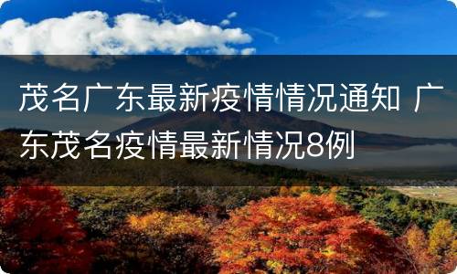 茂名广东最新疫情情况通知 广东茂名疫情最新情况8例