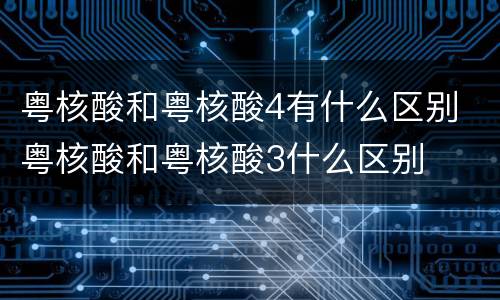 粤核酸和粤核酸4有什么区别 粤核酸和粤核酸3什么区别