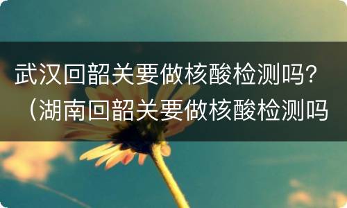 武汉回韶关要做核酸检测吗？（湖南回韶关要做核酸检测吗）
