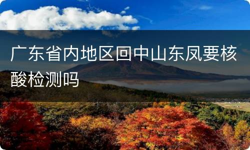 广东省内地区回中山东凤要核酸检测吗