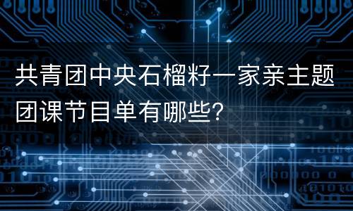 共青团中央石榴籽一家亲主题团课节目单有哪些？
