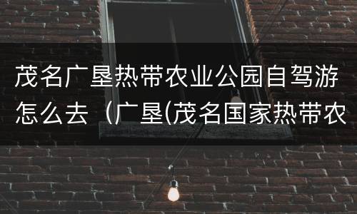 茂名广垦热带农业公园自驾游怎么去（广垦(茂名国家热带农业公园农业嘉年华介绍）