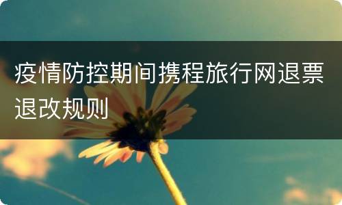 疫情防控期间携程旅行网退票退改规则