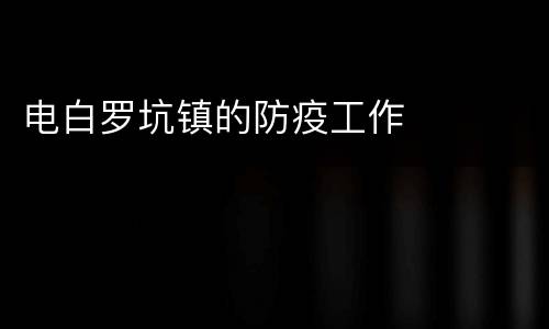 电白罗坑镇的防疫工作