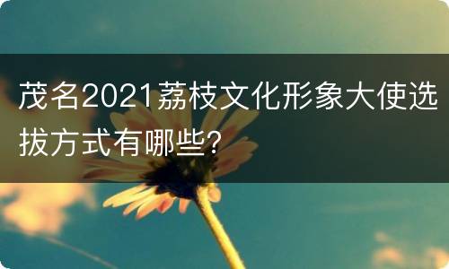 茂名2021荔枝文化形象大使选拔方式有哪些？