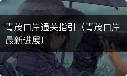 青茂口岸通关指引（青茂口岸最新进展）