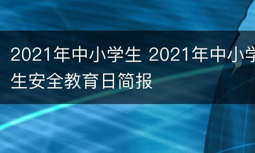 2021年中小学生 2021年中小学生安全教育日简报