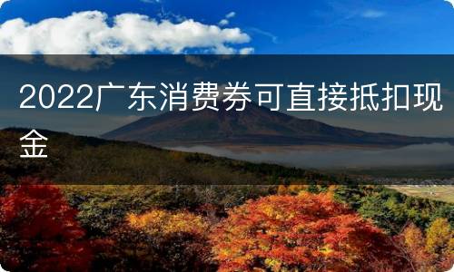 2022广东消费券可直接抵扣现金