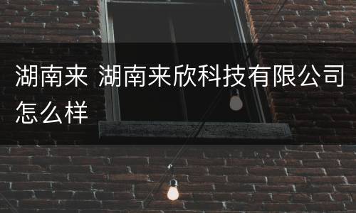湖南来 湖南来欣科技有限公司怎么样