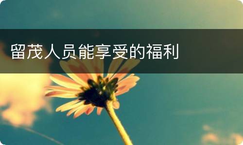 留茂人员能享受的福利