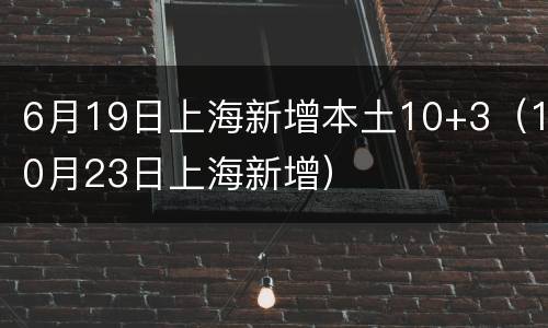 6月19日上海新增本土10+3（10月23日上海新增）