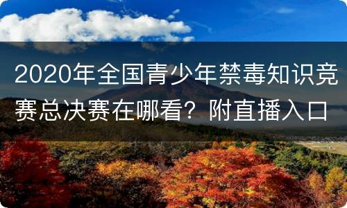 2020年全国青少年禁毒知识竞赛总决赛在哪看？附直播入口