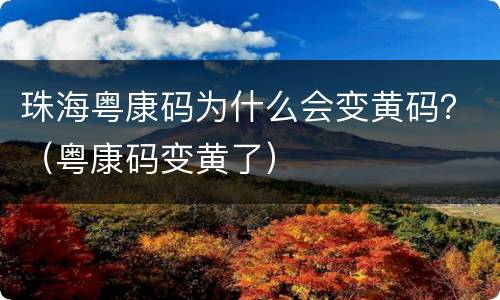 珠海粤康码为什么会变黄码？（粤康码变黄了）