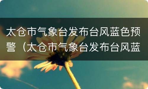 太仓市气象台发布台风蓝色预警（太仓市气象台发布台风蓝色预警信息）