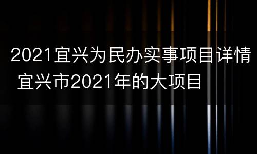2021宜兴为民办实事项目详情 宜兴市2021年的大项目