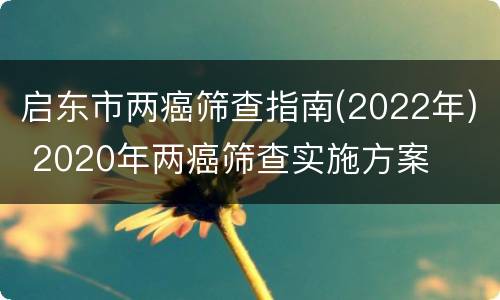 启东市两癌筛查指南(2022年) 2020年两癌筛查实施方案