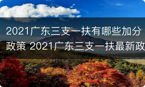 2021广东三支一扶有哪些加分政策 2021广东三支一扶最新政策