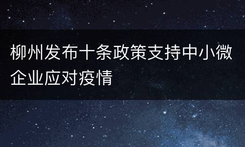 柳州发布十条政策支持中小微企业应对疫情