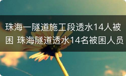 珠海一隧道施工段透水14人被困 珠海隧道透水14名被困人员遇难