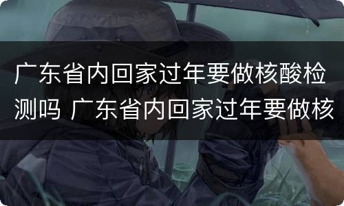 广东省内回家过年要做核酸检测吗 广东省内回家过年要做核酸检测吗茂名本地宝
