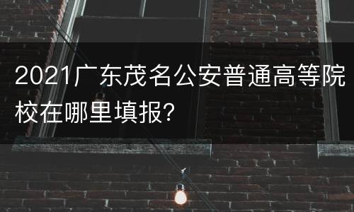 2021广东茂名公安普通高等院校在哪里填报？