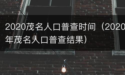 2020茂名人口普查时间（2020年茂名人口普查结果）
