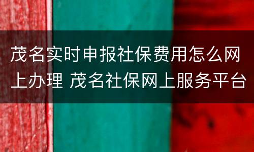 茂名实时申报社保费用怎么网上办理 茂名社保网上服务平台