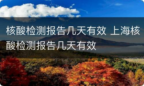 核酸检测报告几天有效 上海核酸检测报告几天有效
