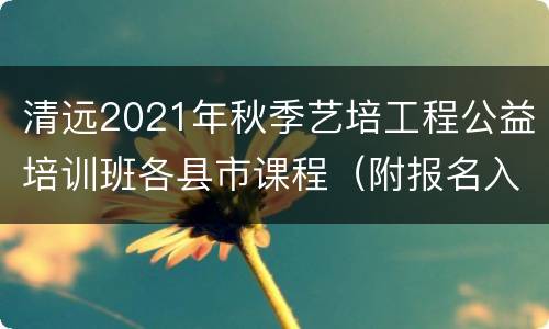 清远2021年秋季艺培工程公益培训班各县市课程（附报名入口）