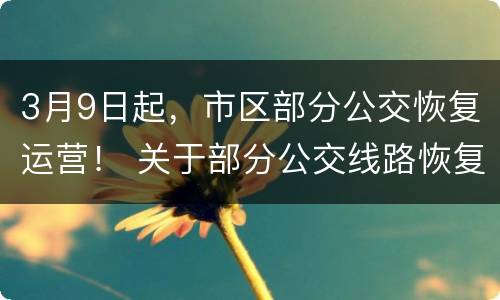 3月9日起，市区部分公交恢复运营！ 关于部分公交线路恢复运行的公告