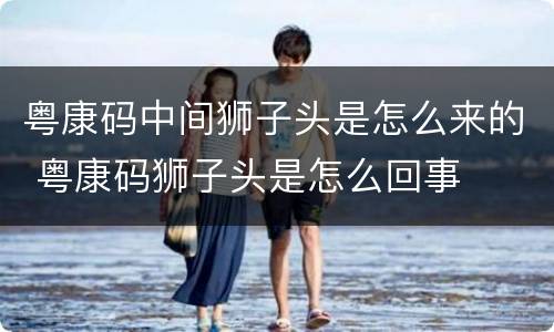 粤康码中间狮子头是怎么来的 粤康码狮子头是怎么回事